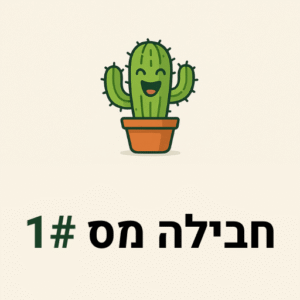 חבילה מספר #1